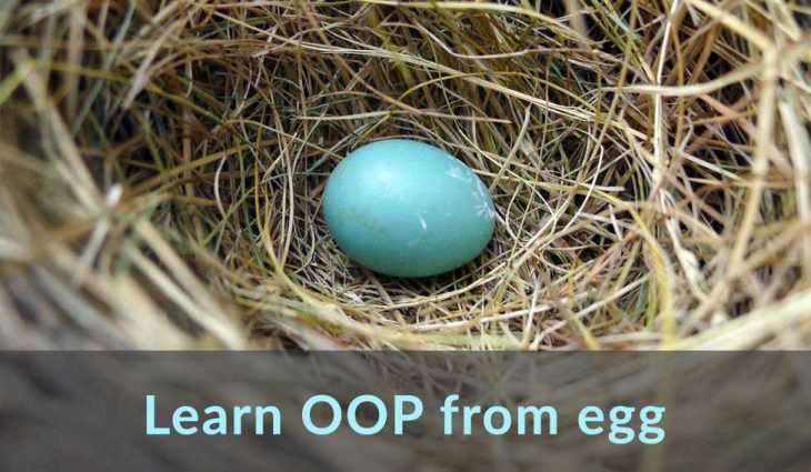 oop-egg